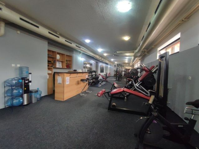 Dynamic Gym Tribe