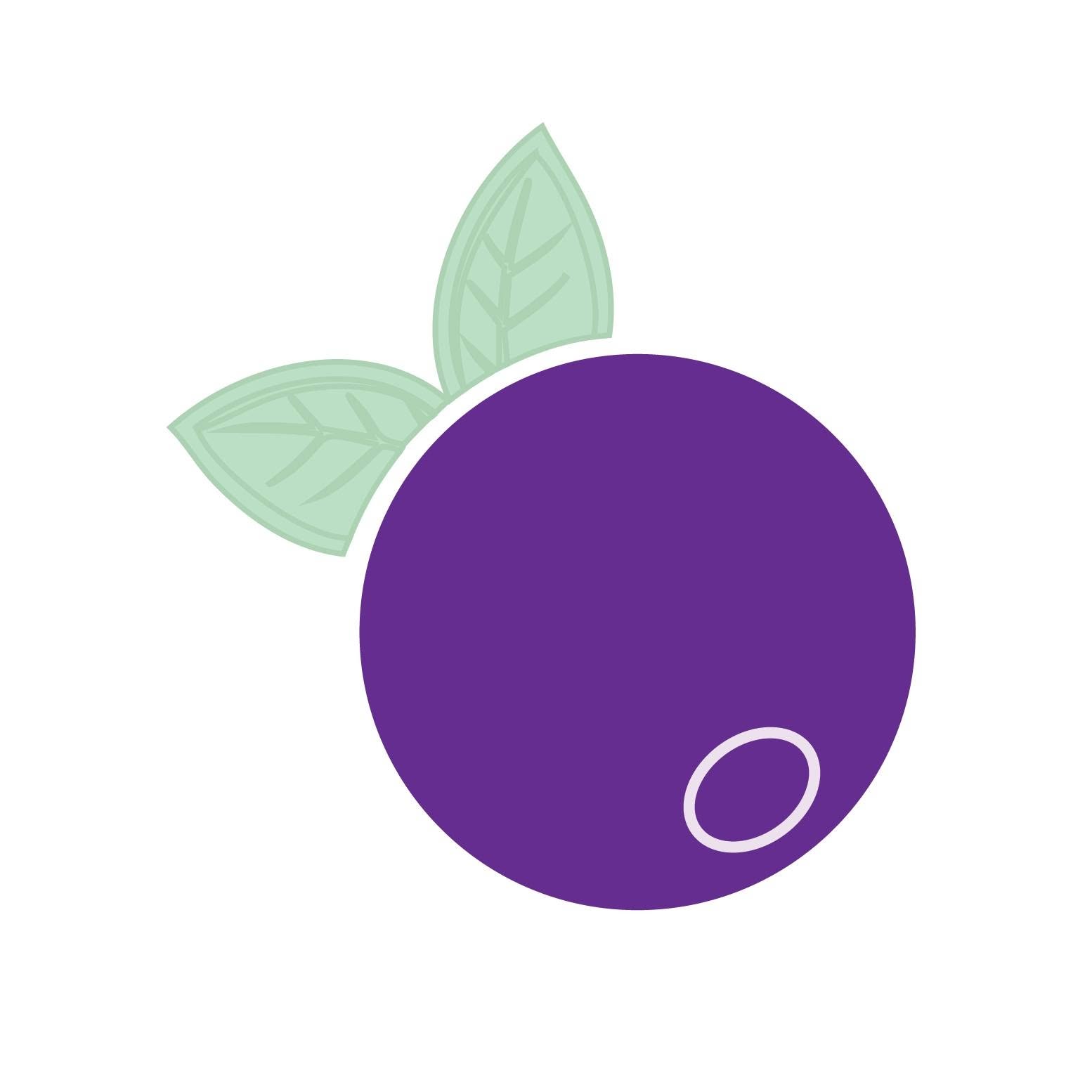 Blueberry Studio Senec