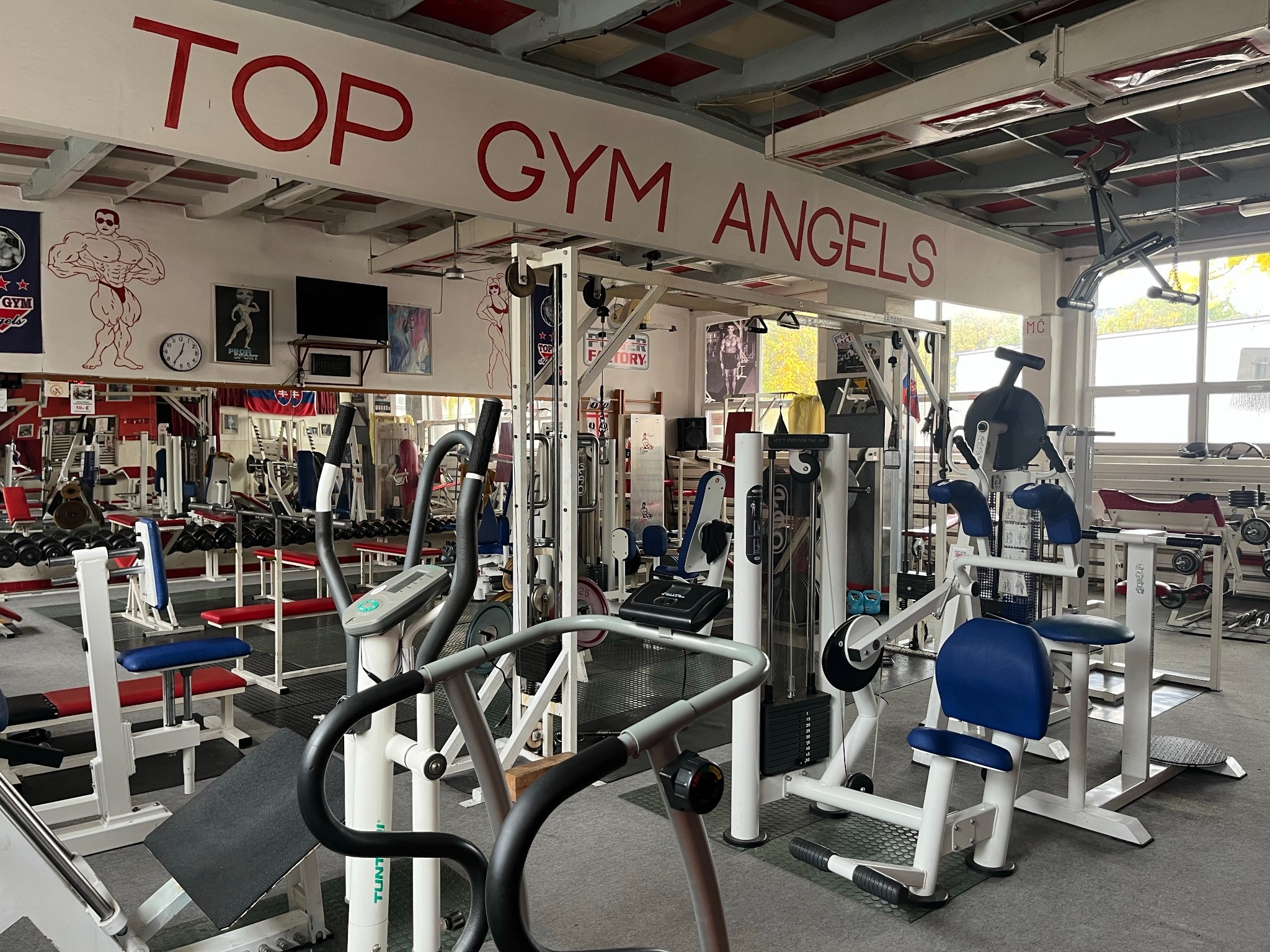 Top Gym Angels
