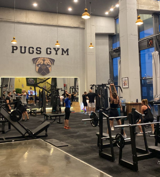 Pugs Gym İncek