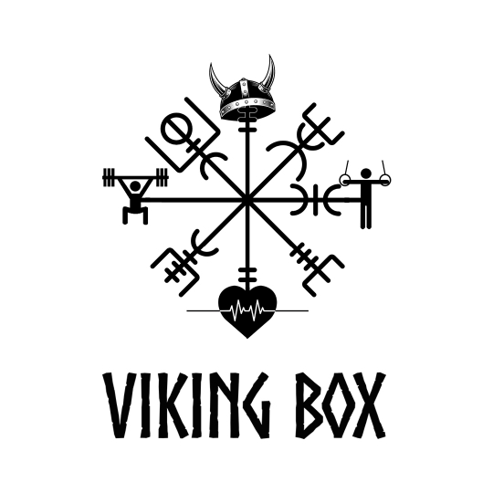 Viking Box Crossfit Spor Salonu - Logo