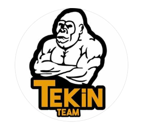 Tekin Spor Kulübü - Logo