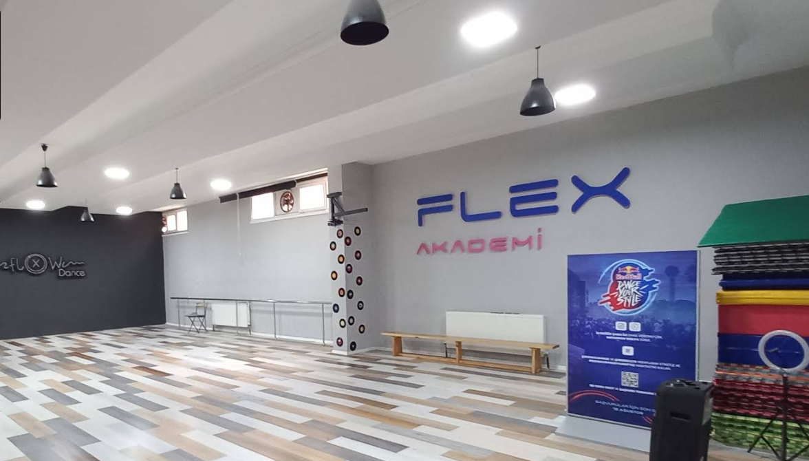 FLEX Dans ve Sanat Akademi