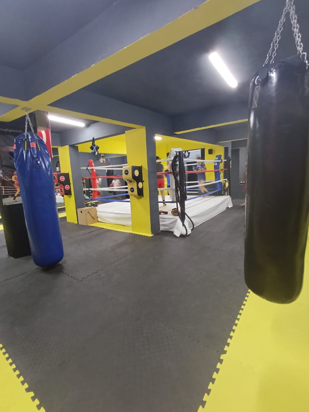 Bağcılar Kick Box Spor Kulübü