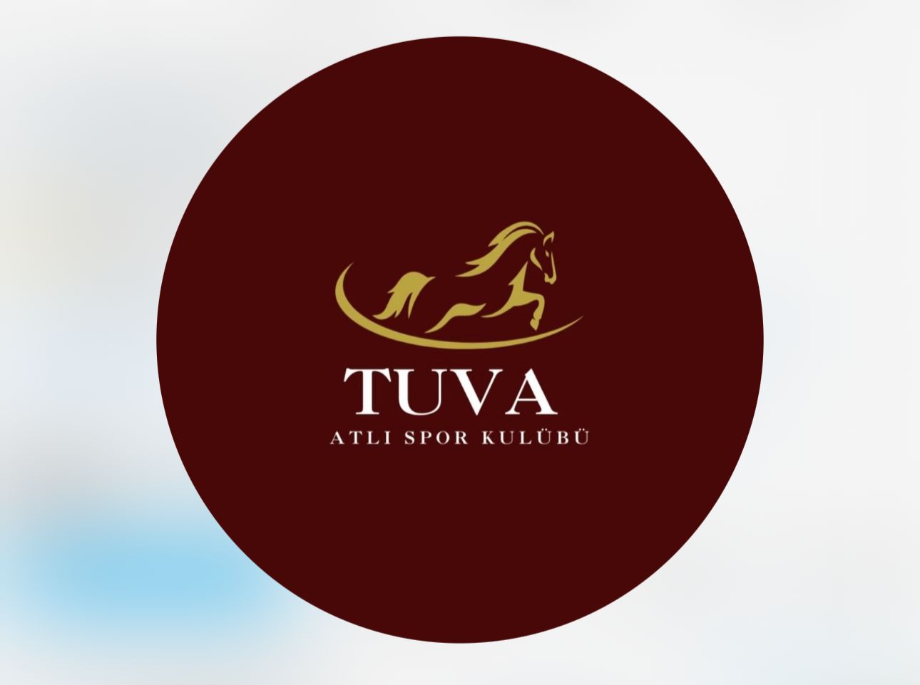 Tuva atlı spor kulübü - Logo