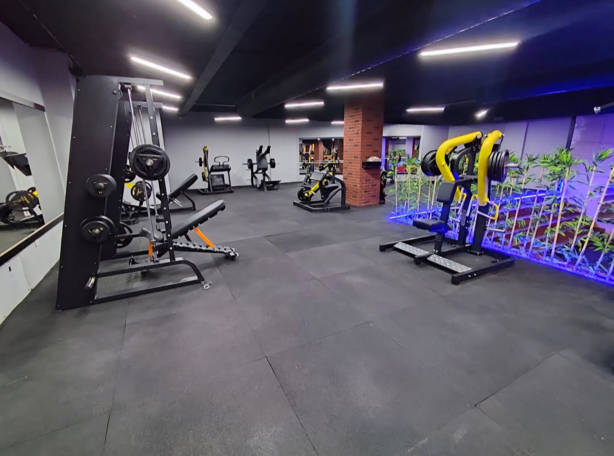 Optimum plus fitness club