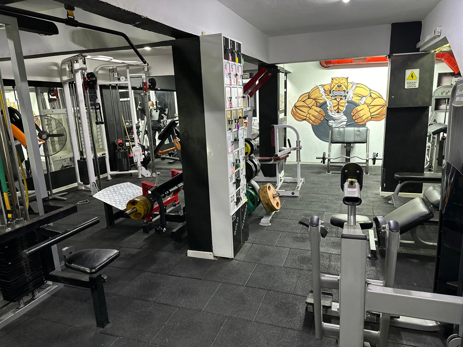 Gold Fitness