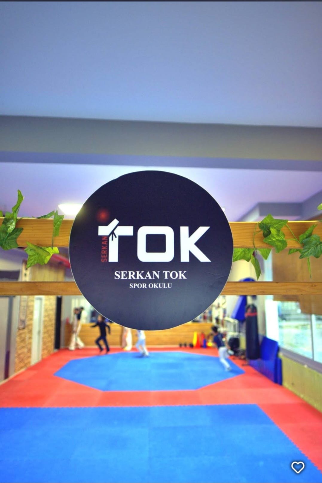 Serkan Tok Spor Kulübü Narlıdere - Logo