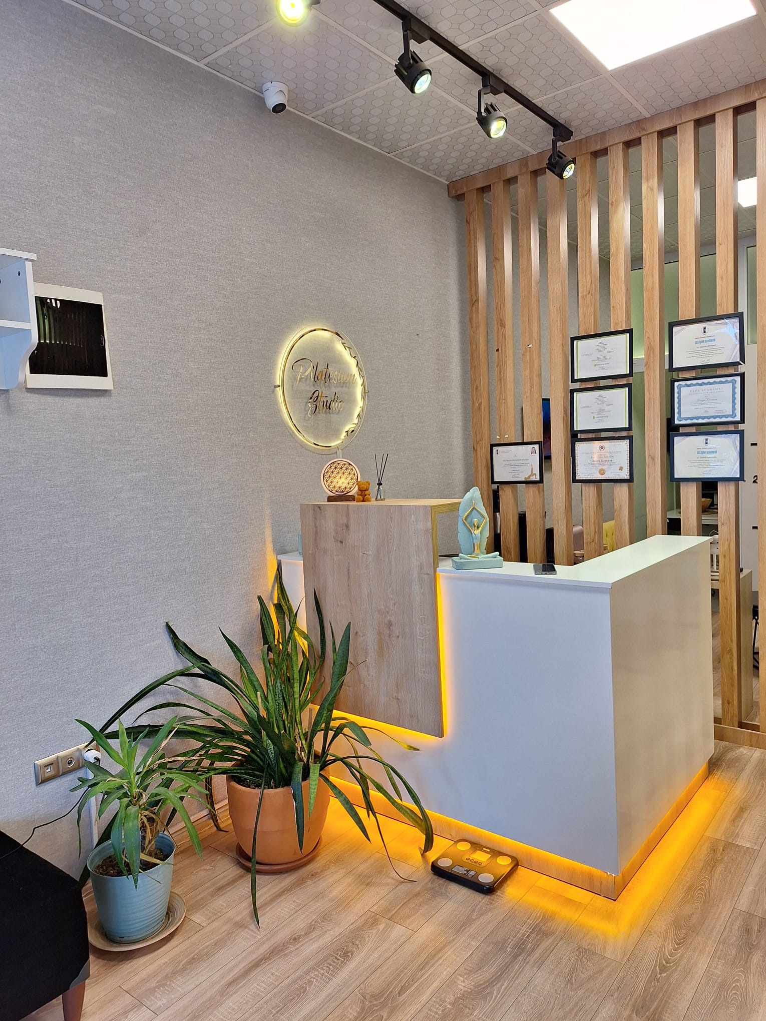 Pilatesium Pilates Yoga Studio