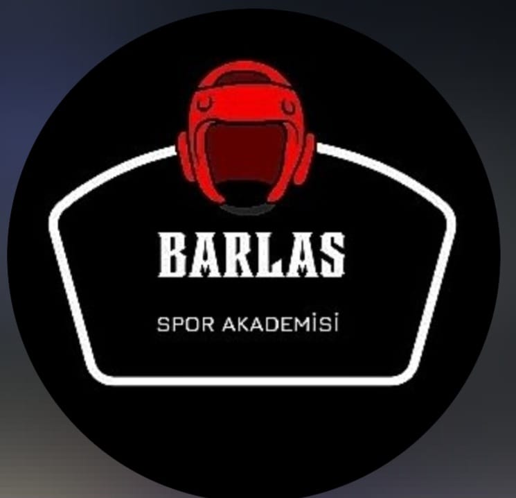 Barlas Spor Akademisi - Logo
