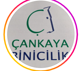 Çankaya Binicilik - Logo