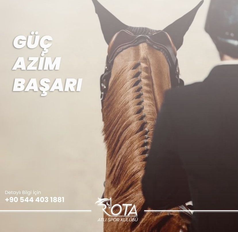Kaydır 2