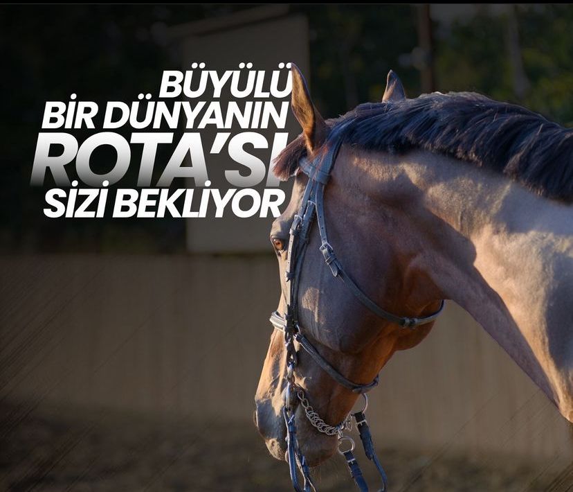 Kaydır 3