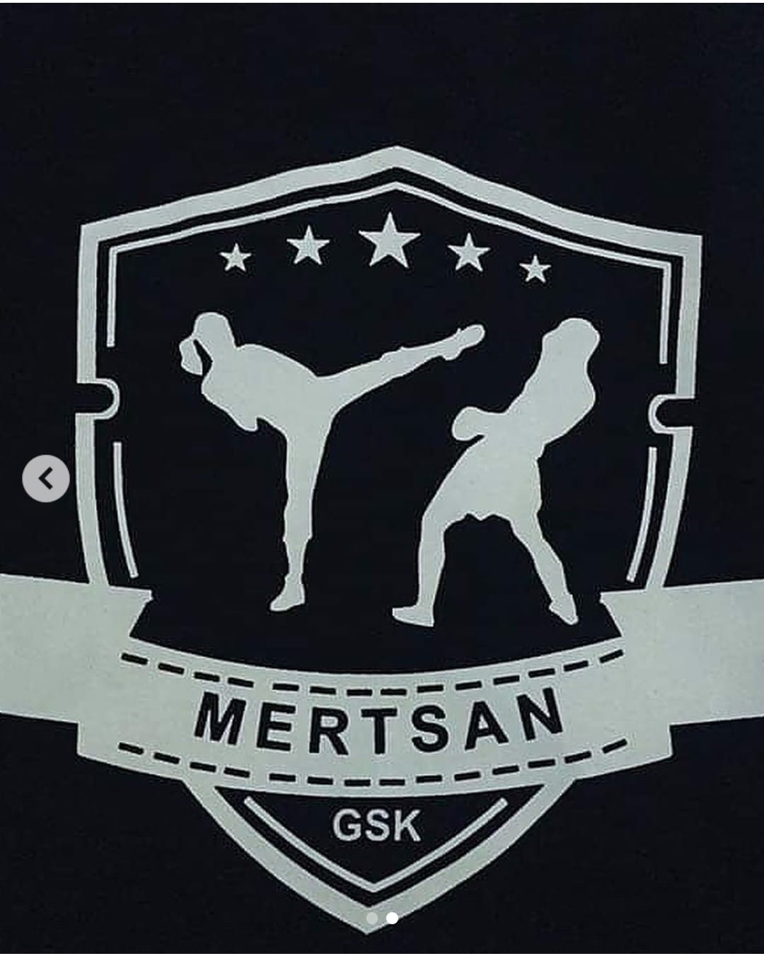 Mertsan Spor Kulübü - Logo