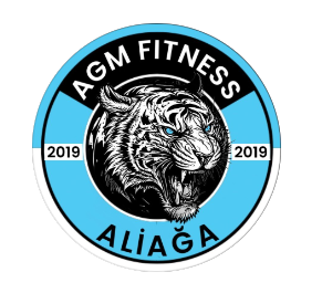 Aliağa Gençlik Merkezi - Logo