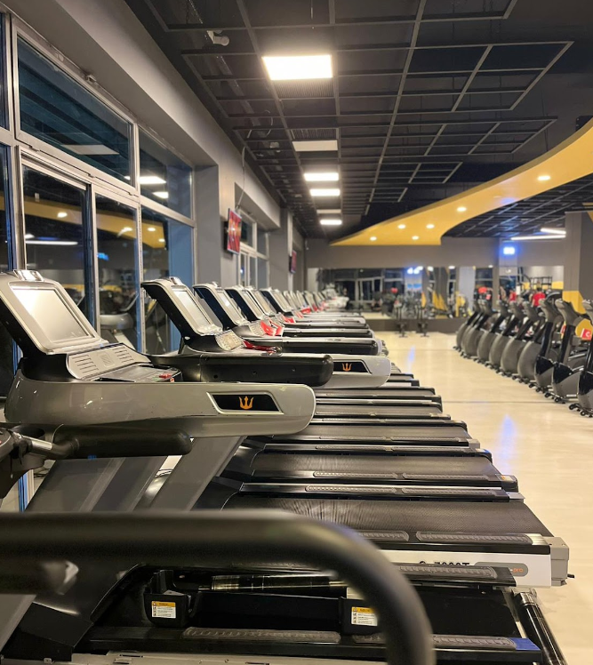 DOLPHIN SPORTS CLUB