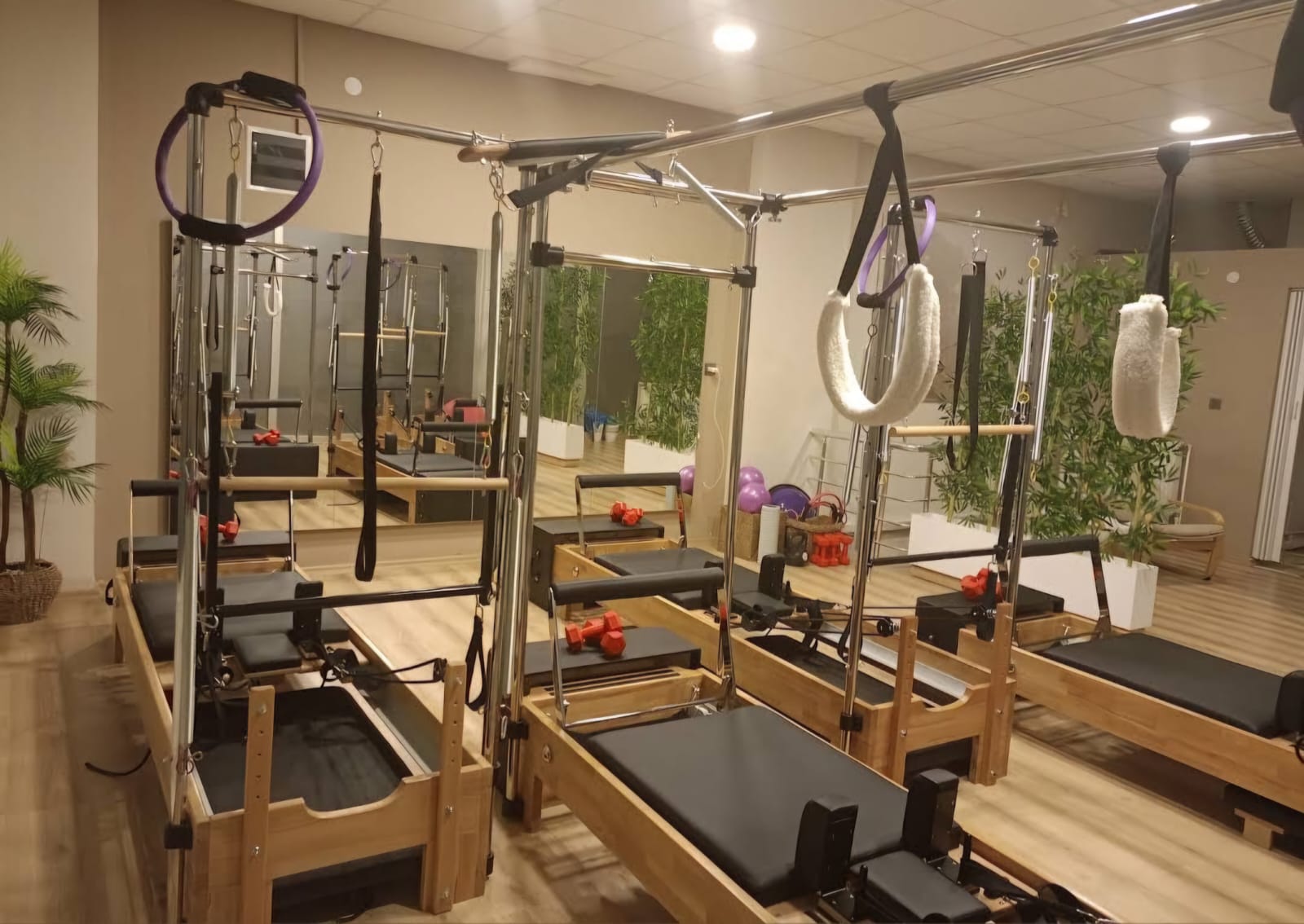 Silva Sport Studio