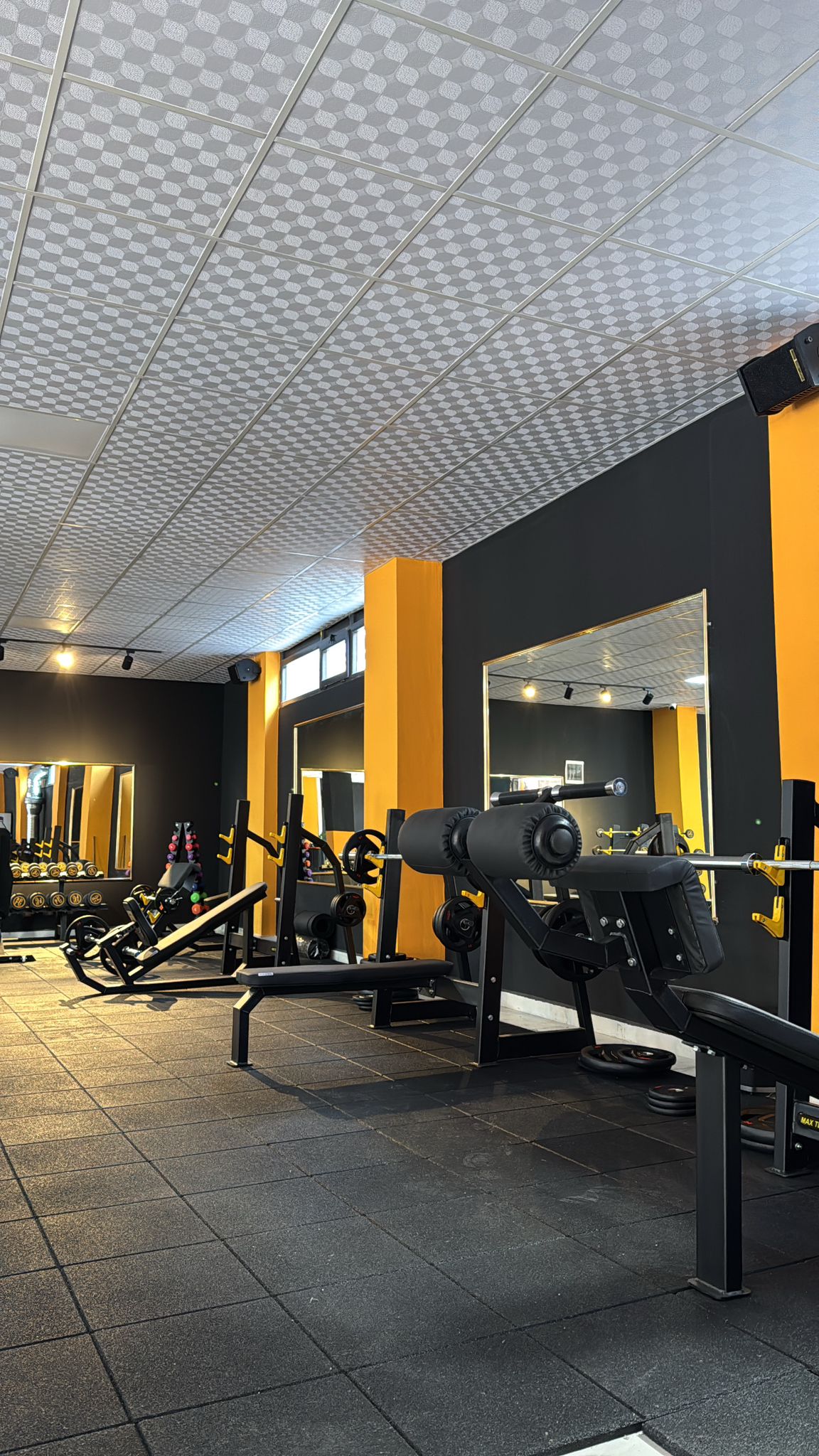 Boss Gym