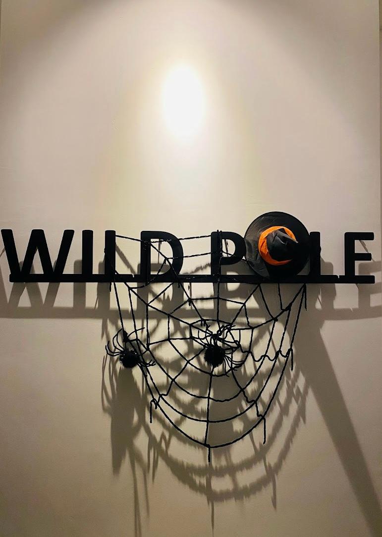 Studio Wild Pole Akademi