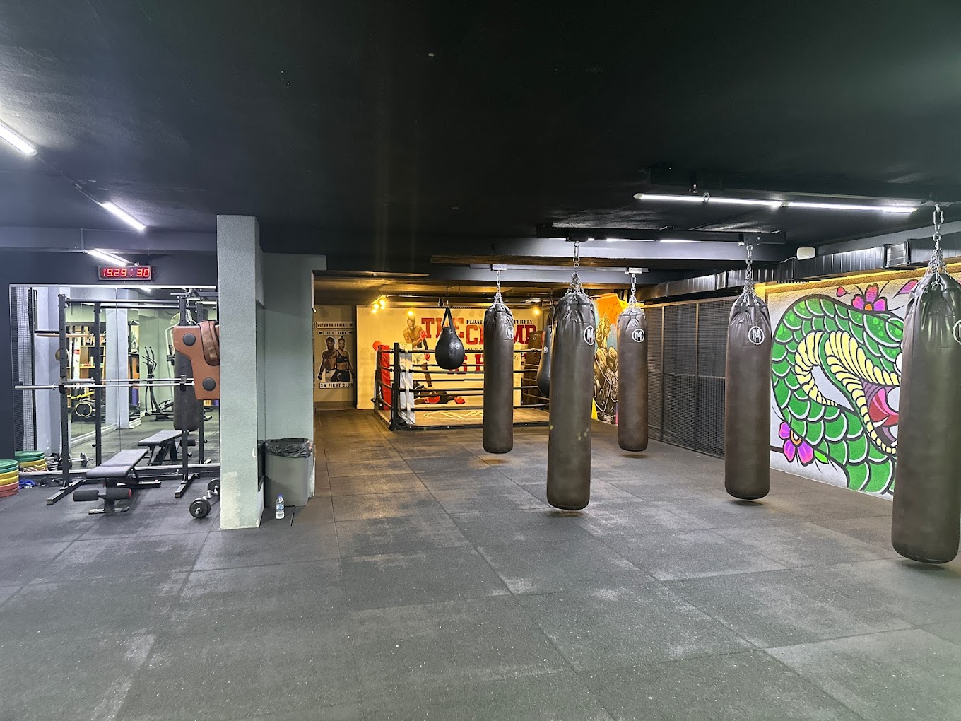 3M Fight Club