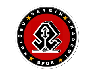 Saygın Akademi Spor Kulübü - Logo