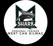 Shark Training Studio - Logo