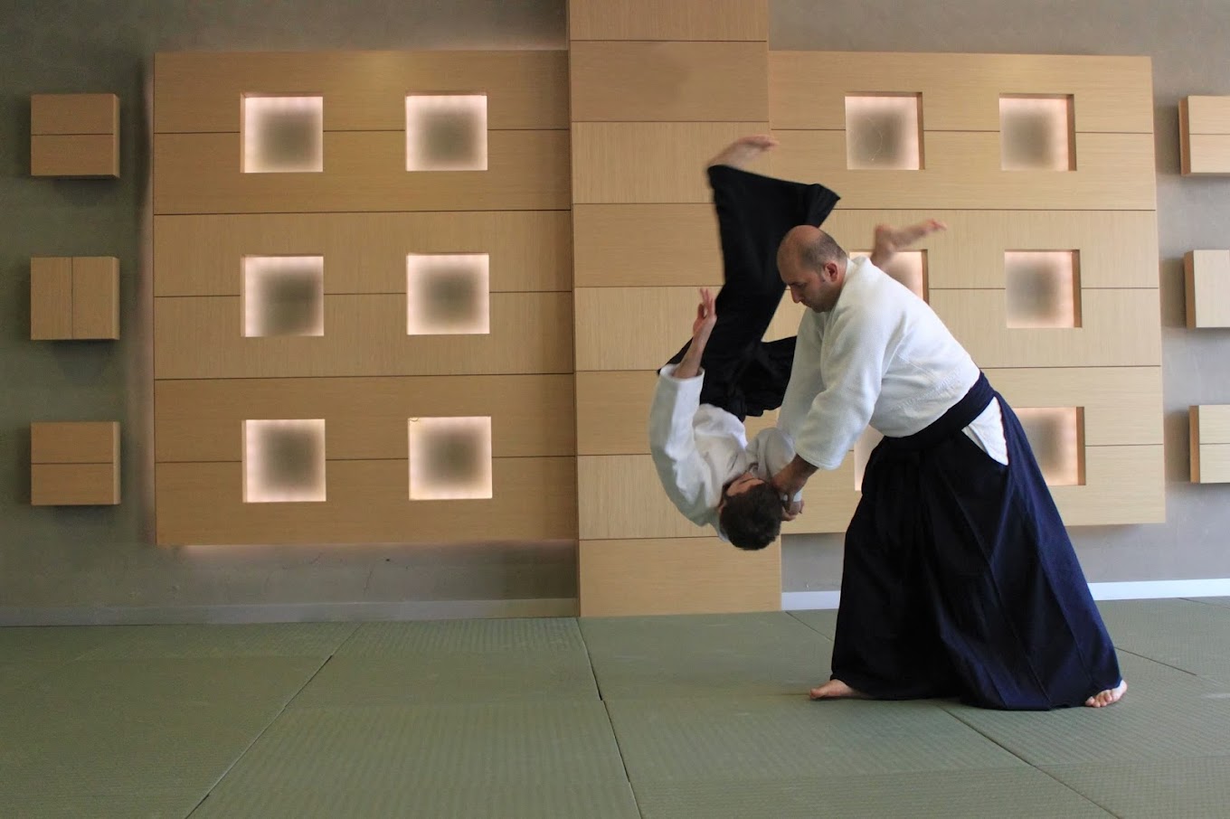 Uluslararası Aikido Akademi Platformu