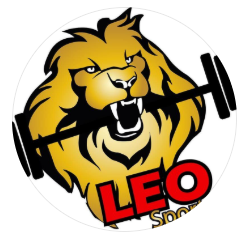 LS LEO SPORT - Logo