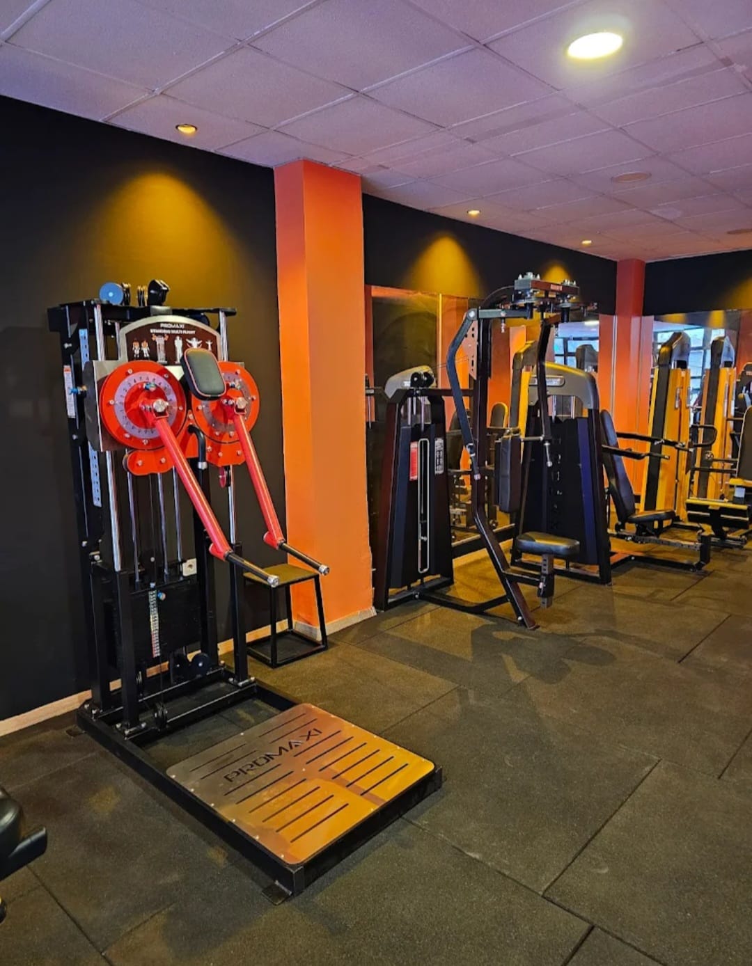 DENİZ SPOR KULÜBÜ (deniz koç spor kulübü)