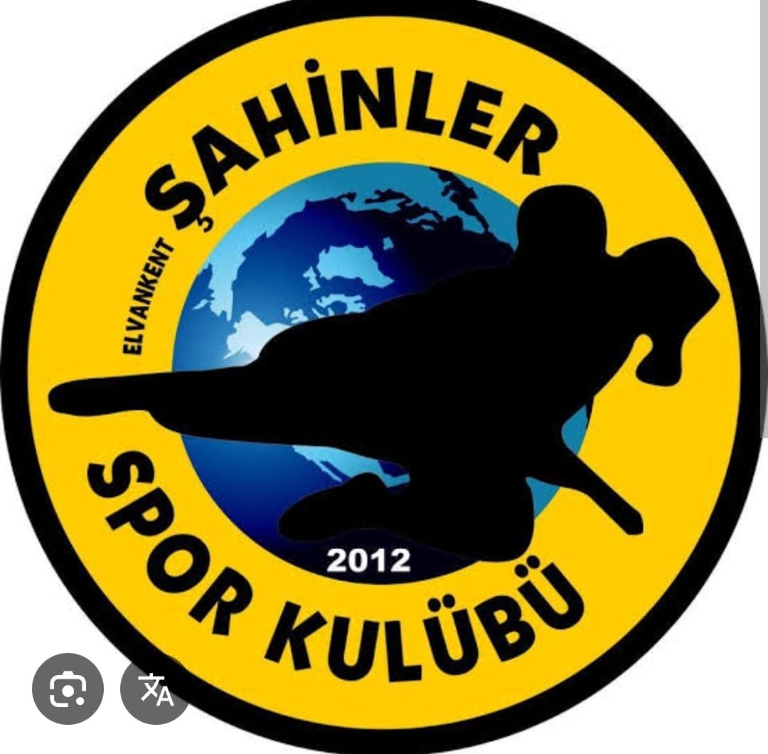 Şahinler spor kulübü - Logo