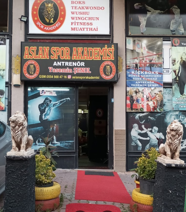 Aslan Spor Akademisi
