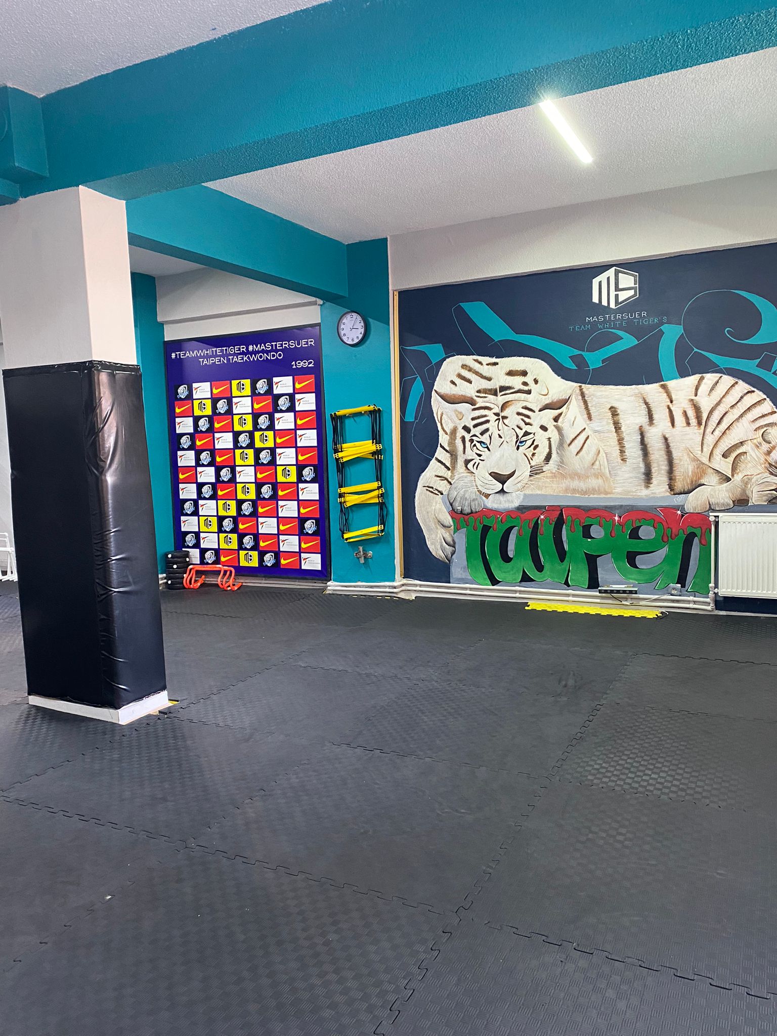 Taipen Taekwondo Akademi
