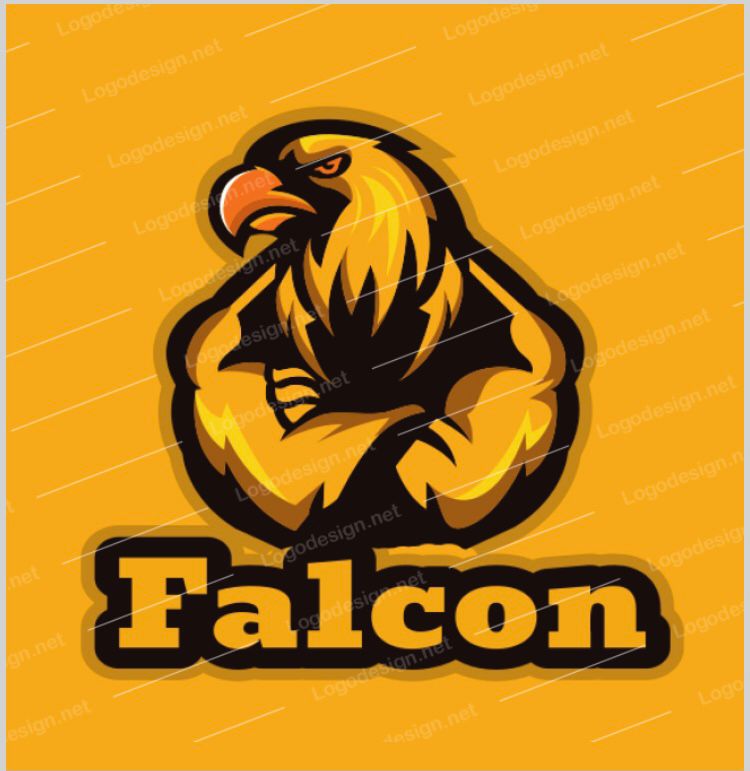 FalconFit - Logo