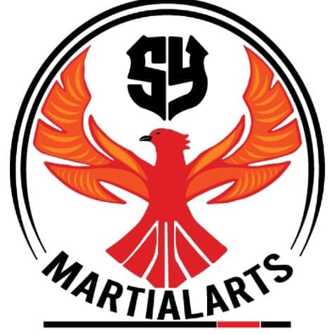 Serkan Yılmaz Uzakdoğu Sporları Merkezi - Logo