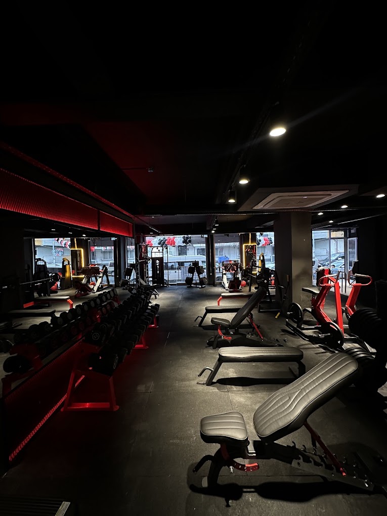 Elysium Gym