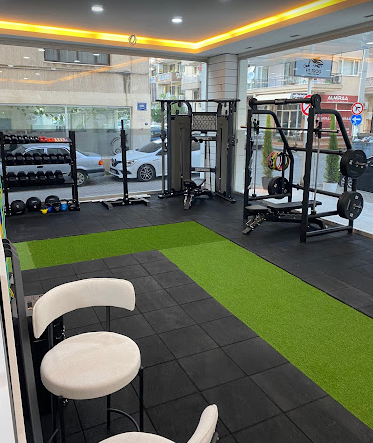 Fit Frog Training Studio