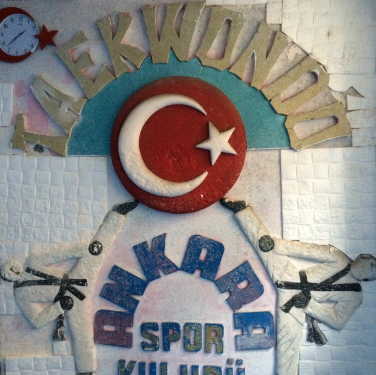 Ankara Taekwondo Kick Boks ve Boks Spor Kulübü - Logo