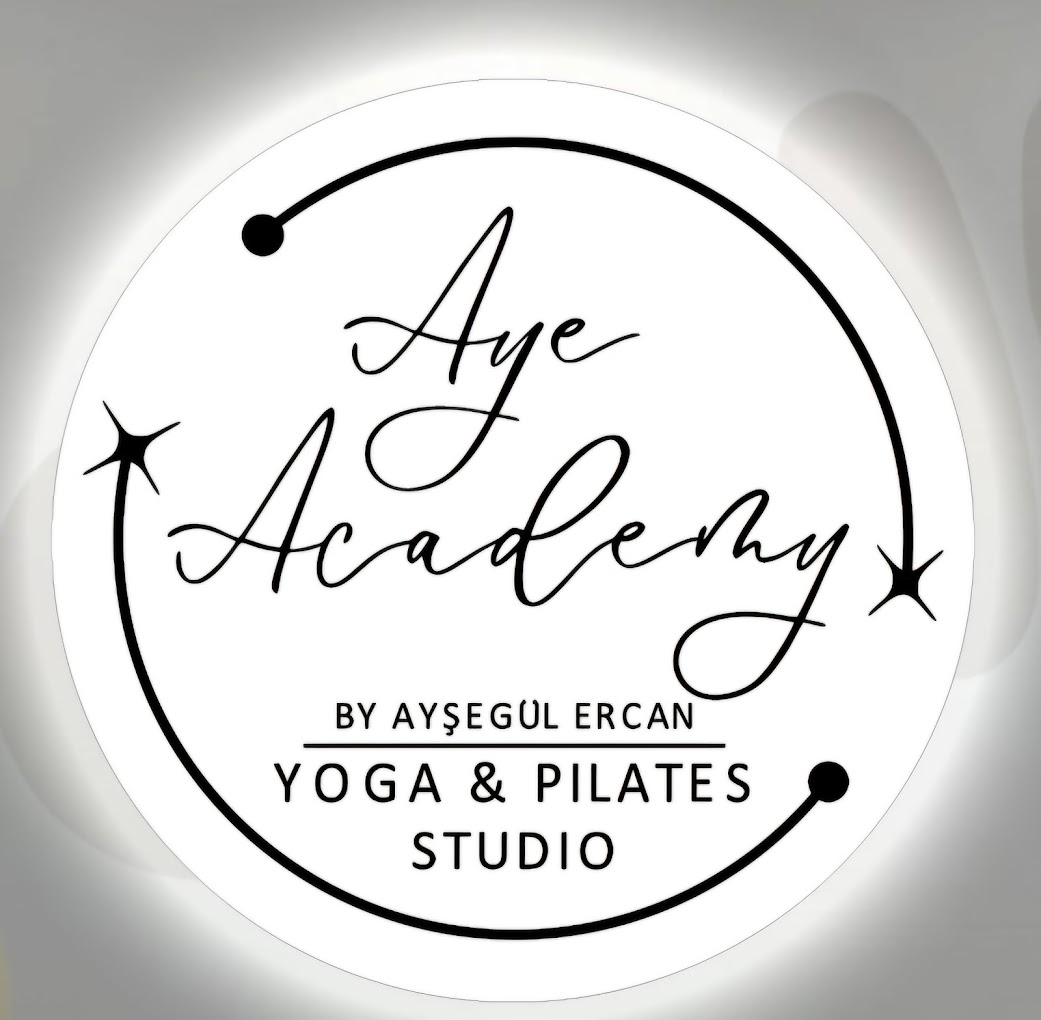 Aye Academy Başiskele - Logo