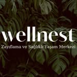 Wellnest Zayıflama ve Sağlıklı Yaşam - Logo