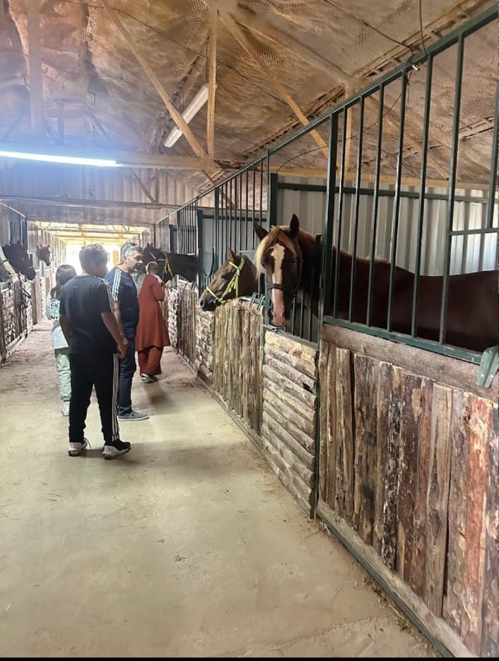 Umay At Çiftliği