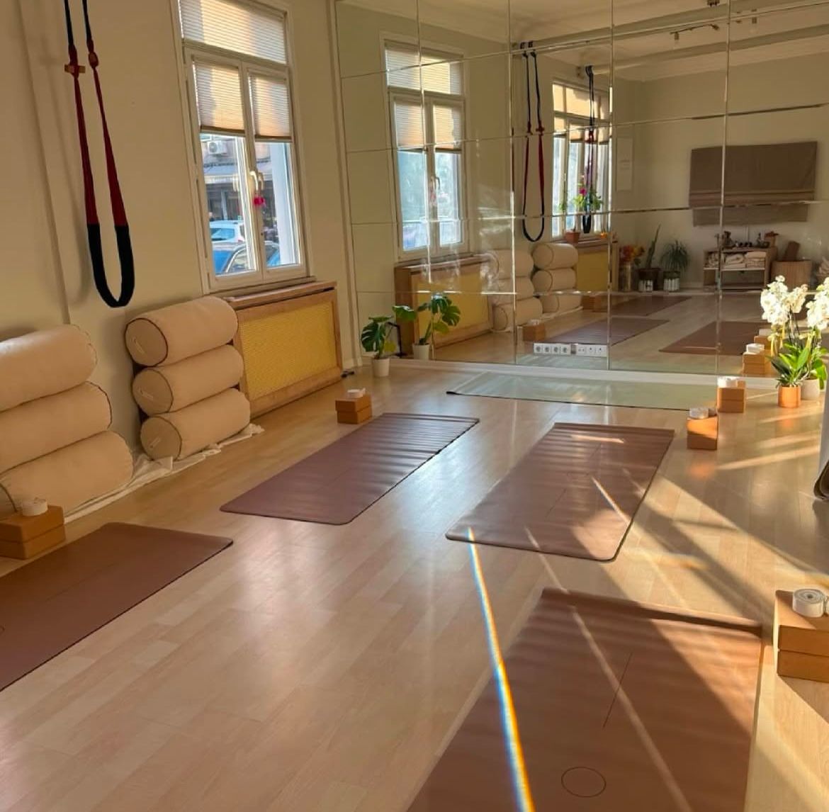 Sanguine Art & Therapy & Yoga