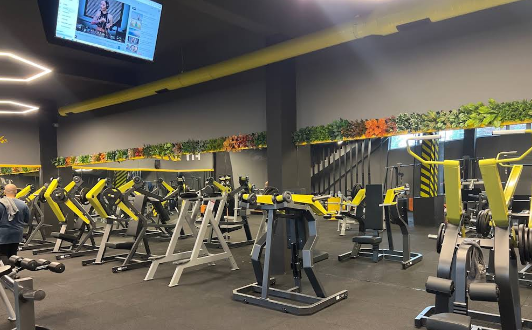 Fitbull GYM Elite