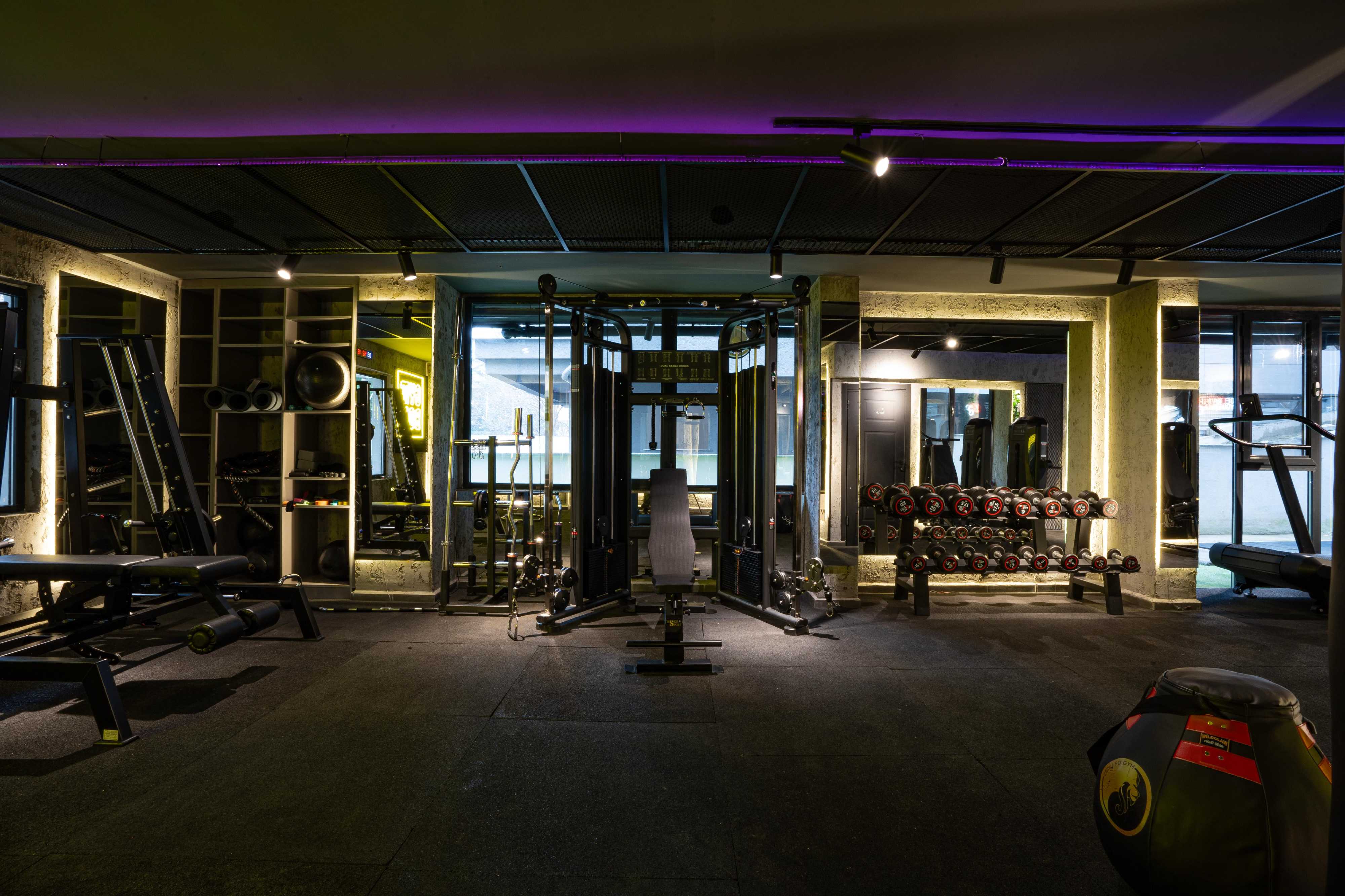 Zen Leo Gym