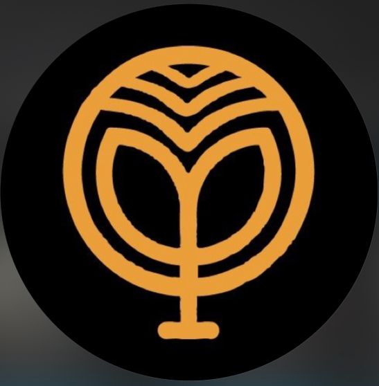 Bodhi Being Yoga ve Mindfulness - Logo