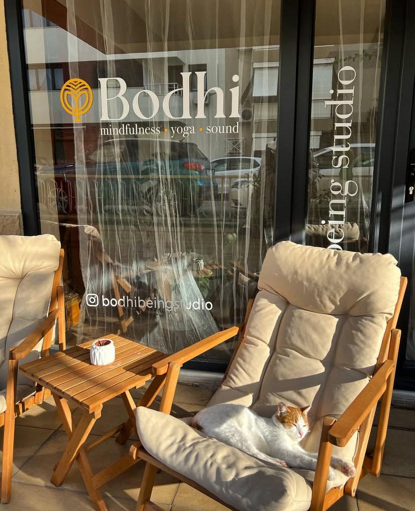 Bodhi Being Yoga ve Mindfulness