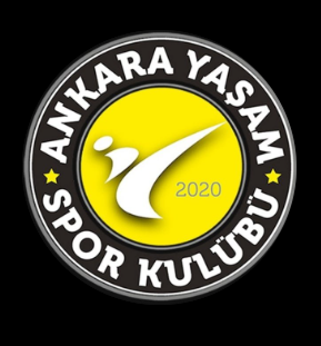 Ankara Yaşam Spor Kulübü - Logo