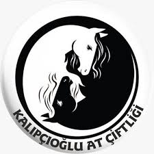Kalıpçıoğlu At Çiftliği & At Pansiyon & Binicilik - Logo