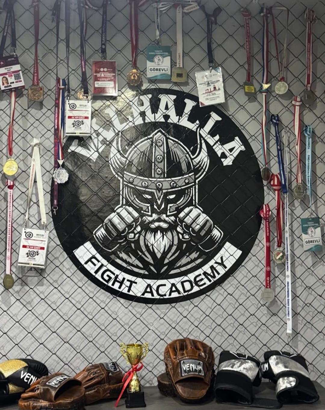 Valhalla Fight Academy - Logo