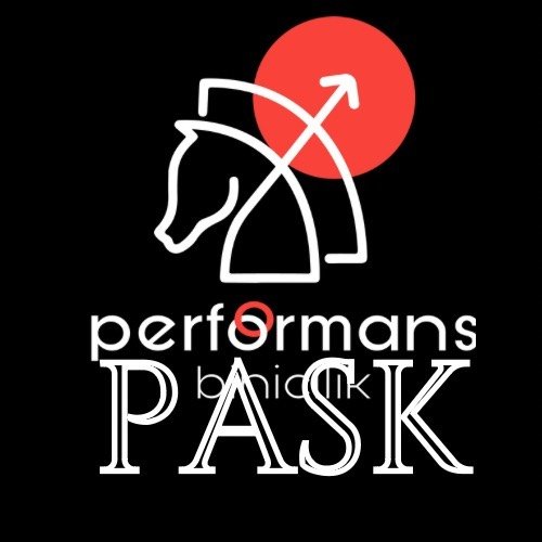 Performans Binicilik - Logo