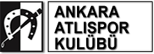 Ankara Atlıspor Kulübü - Logo